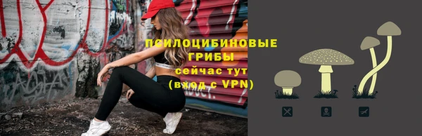 ПСИЛОЦИБИНОВЫЕ ГРИБЫ Бронницы